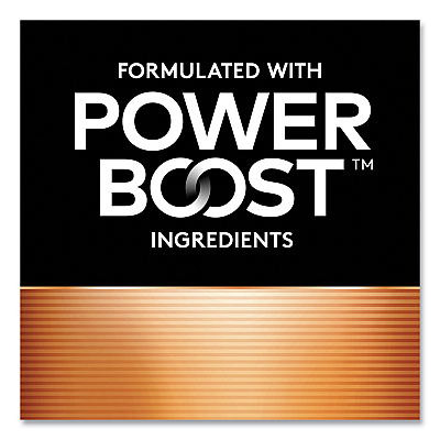 Duracell Power Boost CopperTop Alkaline AA Batteries, 24/Box (DURMN1500B24)