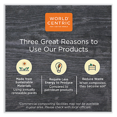 World Centric Paper Lids for Containers, 4.7 x 6.8, Natural, Paper, 300/Carton (WORCTLNT16)