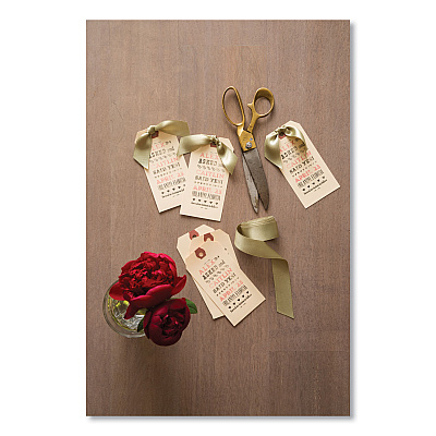 Avery Strung Shipping Tags, 11.5 pt Stock, 6.25 x 3.13, Manila, 1,000/Box (AVE12508)