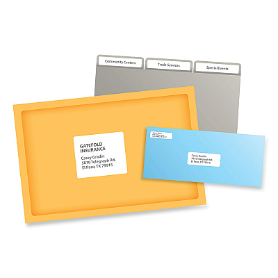 PRES-a-ply Labels, 0.66 x 3.44, White, 30/Sheet, 50 Sheets/Box (AVE30632)