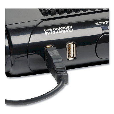 Tripp Lite Isobar Surge Protector, 6 AC Outlets/2 USB Ports, 8 ft Cord, 3,150 J, Black (MT6PLUS)