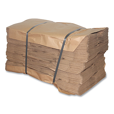 Kari-Out Kraft Paper Bags, Natural Kraft Flat Handles, 13" x 7" x 17", Natural, 250/Carton (KOT1200130)
