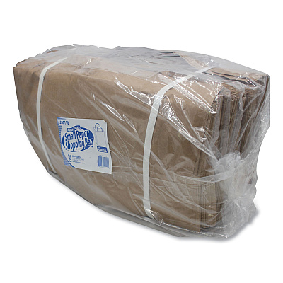 Kari-Out Kraft Paper Bags, Natural Kraft Flat Handles, 10" x 6" x 13", Natural, 250/Carton (KOT1200110)