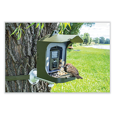 TECHNAXX Full HD Birdcam TX-165, 8 Mpixels, Black/Green (TAX4923)