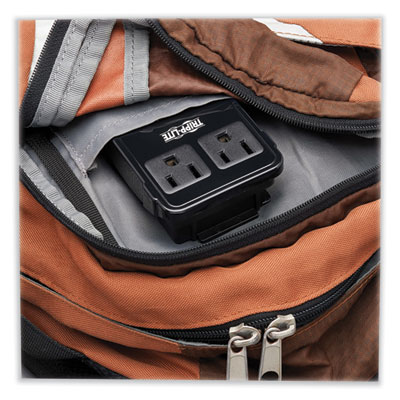 Tripp Lite Safe-IT Two-Outlet Universal Travel Charger, Black , Ships in 7-10 Business Days (SK2UTRAVAM)