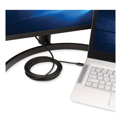 Tripp Lite USB-C to DisplayPort Bi-Directional Adapter Cable, 10 ft, Black, Ships in 7-10 Business Days (U444010DPBD)