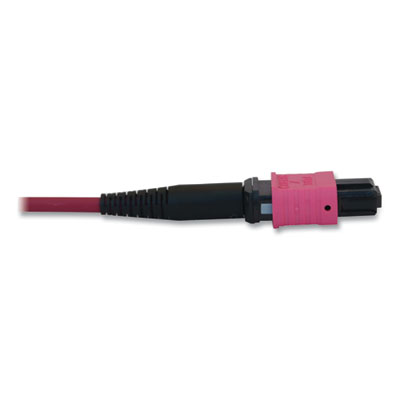 Tripp Lite OM4-Rated 12-Strand to LC Duplex Fiber Optic Cable, 6.6 ft, Magenta, Ships in 7-10 Business Days (TRPN845X02M8LMG)