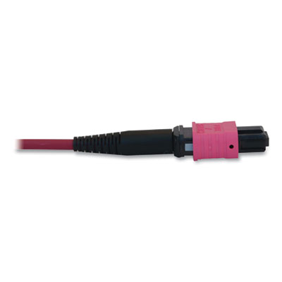 Tripp Lite OM4-Rated 12-Strand to LC Duplex Fiber Optic Cable, 16.4 ft, Magenta, Ships in 7-10 Business Days (N845X05M8LMG)