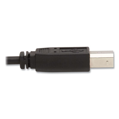 Tripp Lite Dual DisplayPort KVM Cable Kit, 10 ft, Black, Ships in 7-10 Business Days (P783010DP)
