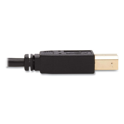 Tripp Lite DisplayPort KVM Cable Kit, 10 ft, Black, Ships in 7-10 Business Days (TRPP783010U)