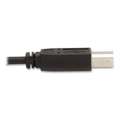 Tripp Lite 3.5 mm/DVI/USB KVM Cable Kit, 10 ft, Black, Ships in 7-10 Business Days (TRPP784010)
