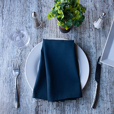 Mariposa Poly Spun Napkin 20x20 Navy Blue, Pack Of 25 (PNP-NAP-NBLUE-25)