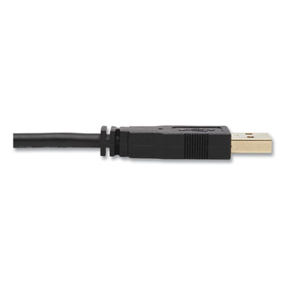 Tripp Lite 3.5 mm/DVI/USB Three-in-One KVM Cable Kit, 10 ft, Black, Ships in 7-10 Business Days (P784010DVU)
