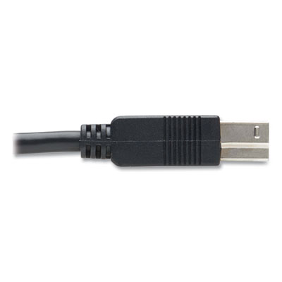 Tripp Lite USB-A to USB-B Active Fiber Optic Cable, 49.2 ft, Black, Ships in 7-10 Business Days (U328F15M)