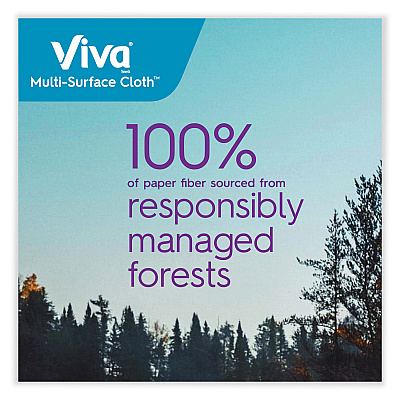 Viva Multi-Surface Cloth Choose-A-Sheet Kitchen Roll Paper Towels 2-Ply, 11 x 5.9, White, 83/Roll, 6 Rolls/Pack, 4 Packs/Carton (KCC49413)