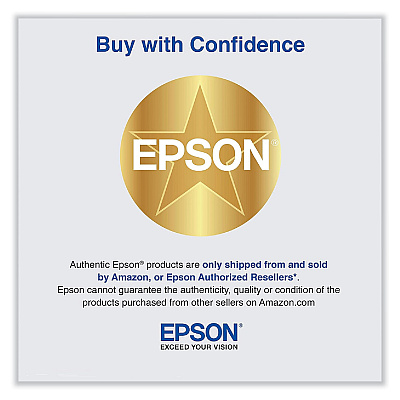 EpsonNet 10/100 Base TX Type B Internal Ethernet Print Server (C12C824352)