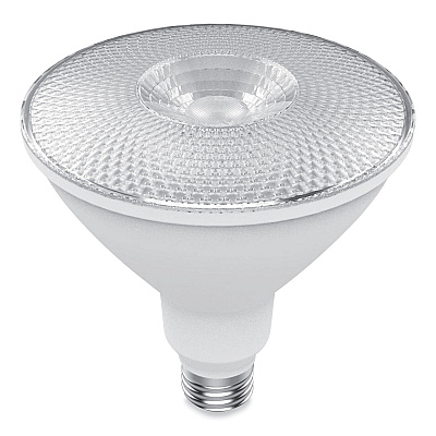 GE LED PAR38 Non-Dimmable Outdoor Flood Light Bulb, 15 W, Bright White, 2/Pack (GEL93129298)