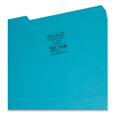 Smead Interior File Folders, 1/3-Cut Tabs: Assorted, Letter Size, 0.75" Expansion, Teal, 100/Box (SMD10291)