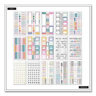 The Happy Planner Essentials Tracker & Checklist Classic Stickers, Productivity Theme, 990/Pack (THLSVP130151)