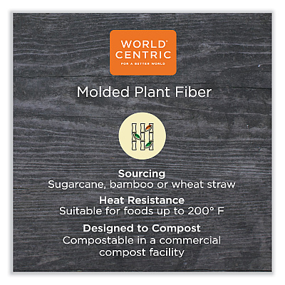 World Centric Fiber Containers, Bento Box, 5-Compartment, 12 x 9.5 x 2, Natural, Paper, 300/Carton (WORTRSCBBLFS)