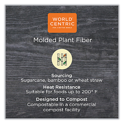 World Centric Fiber Trays, 7.1 x 9.1 x 0.7, Natural, Paper, 500/Carton (WORTRSC4SLFS)