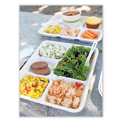 World Centric Fiber Trays, 5-Compartment, 8.5 x 10.24 x 1.01, Natural, Paper, 400/Carton (WORTRSC5CLFS)