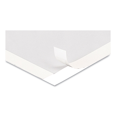 deflecto Self Adhesive Sign Holders, 11 x 17, Clear with White Border, 2/Pack (DEF68886W)