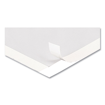 deflecto Self Adhesive Sign Holders, 8.5 x 11 Insert, Clear with White Border, 2/Pack (DEF68776W)