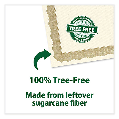 Geographics Tree Free Award Certificates, 8.5 x 11, Natural with Gold Braided Border, 15/Pack (GEO49008)