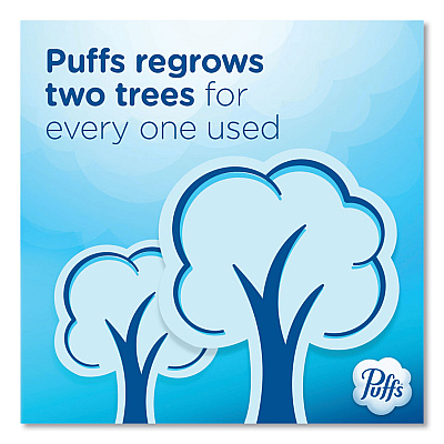Puffs Ultra Soft Facial Tissue, 2-Ply, White, 124 Sheets/Box, 6 Boxes/Pack, 4 Packs/Carton (PGC35554)
