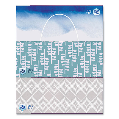 Puffs Ultra Soft Facial Tissue, 2-Ply, White, 124 Sheets/Box, 6 Boxes/Pack, 4 Packs/Carton (PGC35554)