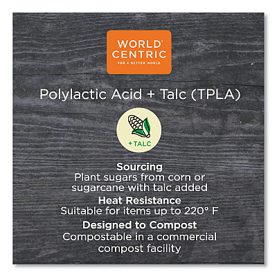 World Centric TPLA Compostable Cutlery, Soup Spoon, White, 1,000/Carton (WORSOPSB)