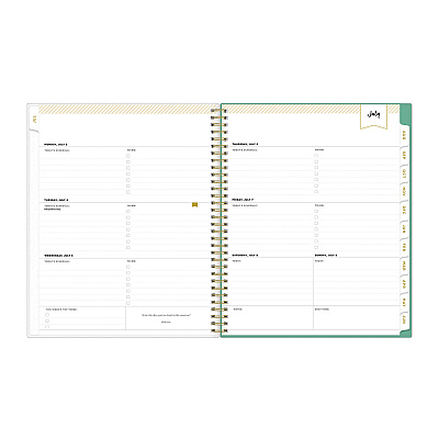 Blue Sky Day Designer Academic Year Weekly/Monthly Frosted Planner, Palms Artwork, 11 x 8.5, 12-Month (July to June): 2025 to 2026 (137891)