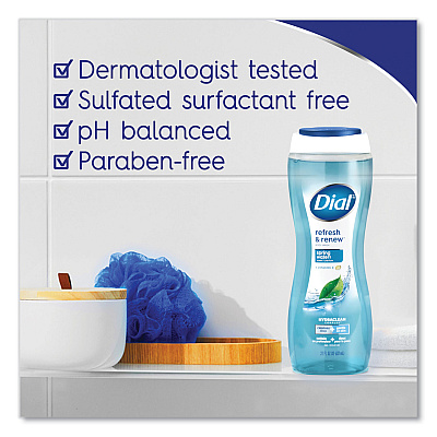 Dial Body Wash, Spring Water Scent, 16 oz, 6/Carton (DIA02653)