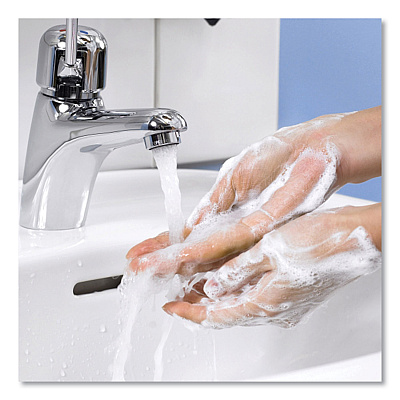 Tork Premium Extra Mild Soap Refill, Unscented, 1 L, 6/Carton (TRK400029)