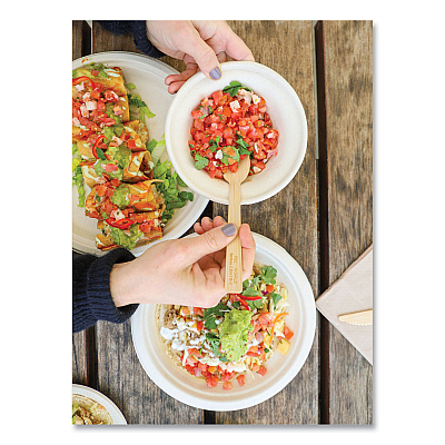 World Centric Bamboo Cutlery, Spoon, 6.7", Natural, 2,000/Carton (WORSPBB67)
