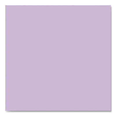 Roaring Spring EnviroShades Steno Pad, Gregg Rule, White Cover, 80 Orchid 6 x 9 Sheets, 24 Pads/Carton (ROA12264CS)