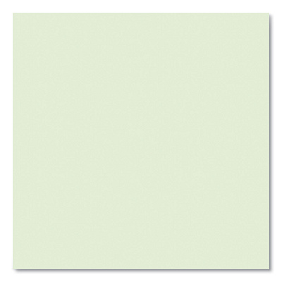 Roaring Spring Boardroom Series Steno Pad, Gregg Ruled, Brown Cover, 80 Green 6 x 9 Sheets, 72 Pads/Carton (ROA12103CS)