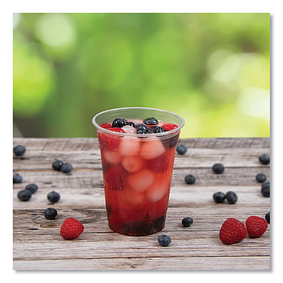 Dart Conex ClearPro Plastic Cold Cups, Plastic, 16 oz, Clear, 50/Pack, 20 Packs/Carton (DCC16PX)