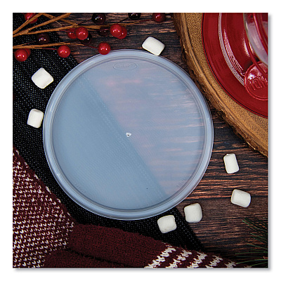 Dart Plastic Lids for Foam Containers, Flat, Vented, Fits 24-32 oz, Translucent, 100/Pack, 5 Packs/Carton (DCC48JL)
