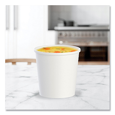 Solo Flexstyle Double Poly Paper Containers, 16 oz, White, Paper, 25/Pack, 20 Packs/Carton (SCCH4165U)