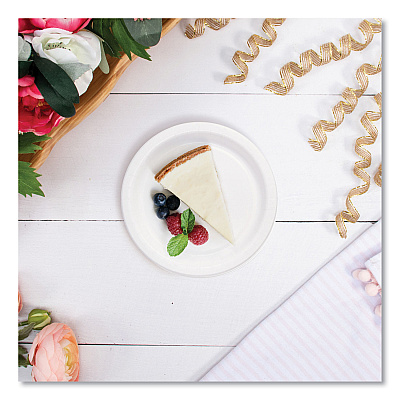 Solo Bare Eco-Forward Clay-Coated Paper Plate, ProPlanet Seal, 6" dia, White/Brown/Green, 1,000/Carton (SCCMP6B)