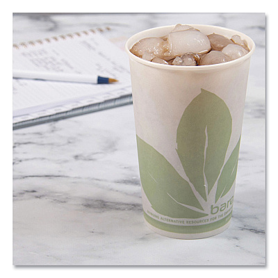 Solo Bare Eco-Forward Paper Cold Cups, ProPlanet Seal, 16 oz, Green/White, 100/Sleeve 10 Sleeves/Carton (SCCRW16BBD110CT)
