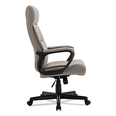 Alera Oxnam Series High-Back Task Chair, Supports Up to 275 lbs, 17.56" to 21.38" Seat Height, Tan Seat/Back, Black Base (ALEON41B59)