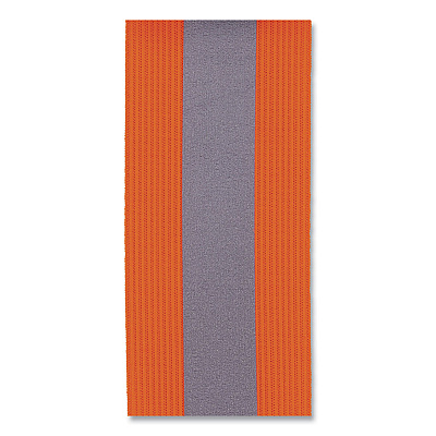 ergodyne GloWear 8001 Hi-Vis Arm and Leg Band with Snap Closure, Small/Medium, Orange (EGO29011)