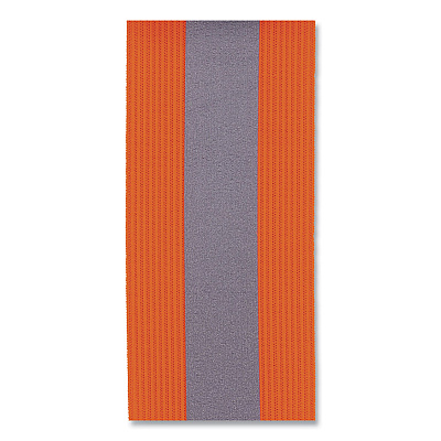 ergodyne GloWear Hi Vis Arm and Leg Band with Snap Closure, Large/X-Large, Orange (EGO29012)