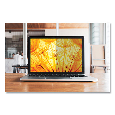 3M Bright Screen Privacy Filter for 13.5" 2-in-1 (MMMBPNMS002)