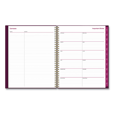 Blue Sky Gili Weekly/Monthly Planner, Jewel Tone Artwork, 11 x 8.5, Plum Cover, 12-Month (Jan to Dec): 2026 (117889)