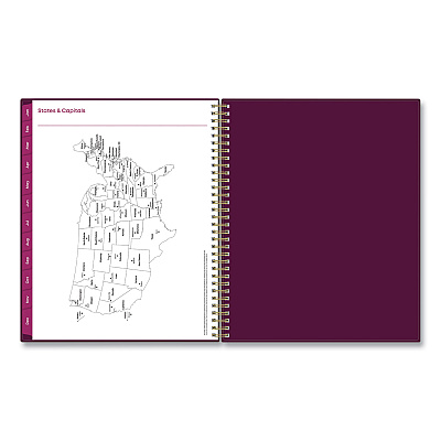 Blue Sky Gili Weekly/Monthly Planner, Jewel Tone Artwork, 11 x 8.5, Plum Cover, 12-Month (Jan to Dec): 2026 (117889)