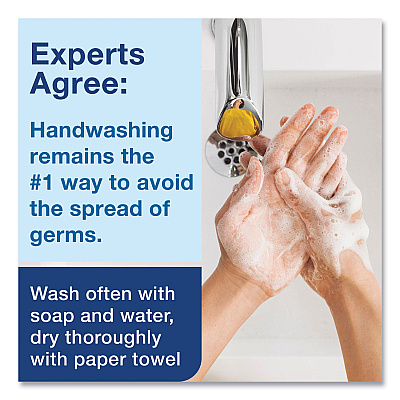 Tork Clarity Hand Soap Refill, Unscented, 1 L, 6/Carton (TRK401800)